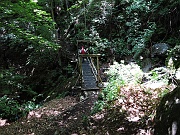 Verso Cursolo